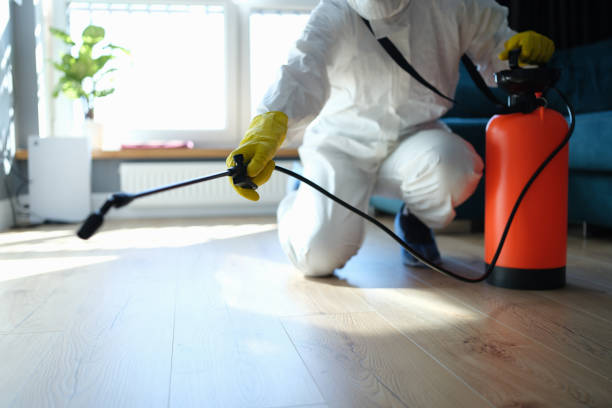 Best Flea Control Services  in Madison, SD