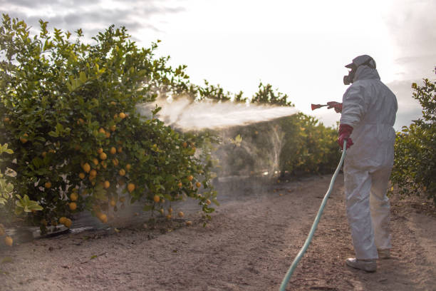 Reliable Madison, SD Pest Control Solutions