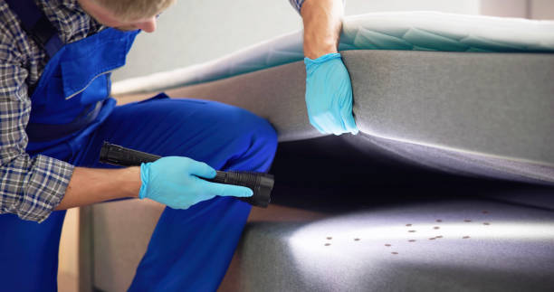 Best Local Pest Control Services  in Madison, SD