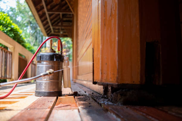 Best Wasp Removal Services  in Madison, SD