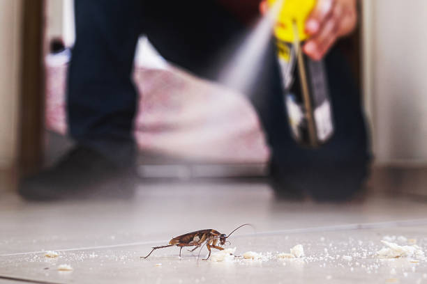 Best Bed Bug Extermination  in Madison, SD