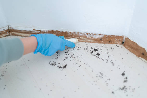 Pest Control Cost in Madison, SD